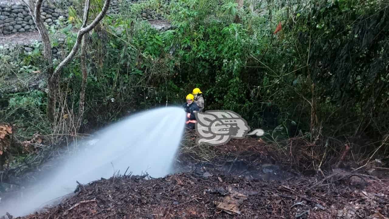 Sofocan Fuerte Incendio En Basurero Clandestino De Misantla