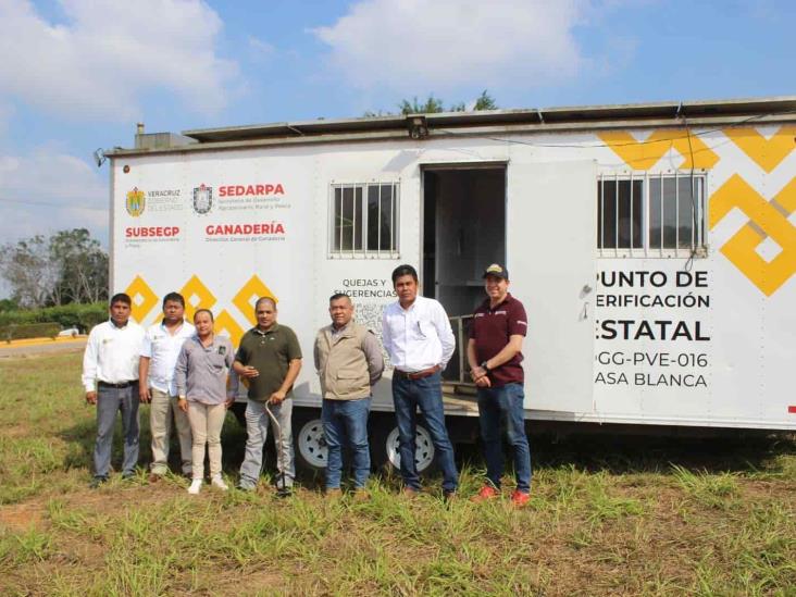 Instalan Punto De Verificaci N De Ganado En Acayucan