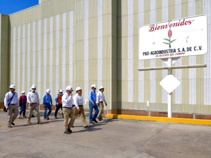 Pro Agro Y Fertinal Producen El De Fertilizantes De Pemex