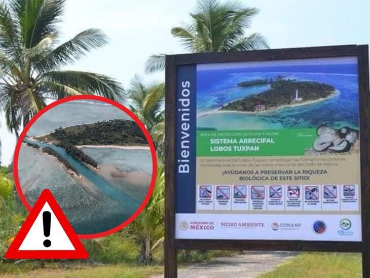 Cierran Acceso A La Isla Lobos Tras Detecci N De Gripe Aviar