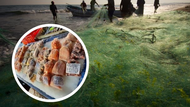 Adaptarán el muelle del pescador como nuevo punto de venta de mariscos