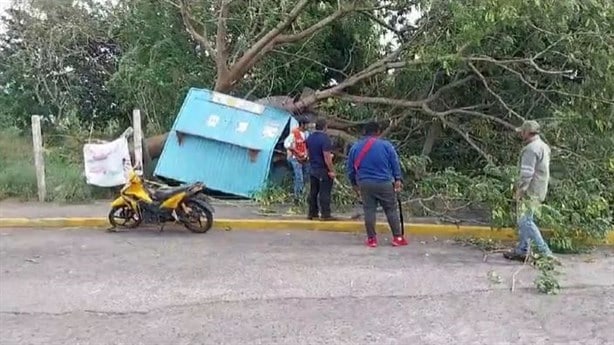 Norte Derriba Rboles Sem Foros Postes Y Da A Autos En Veracruz Y