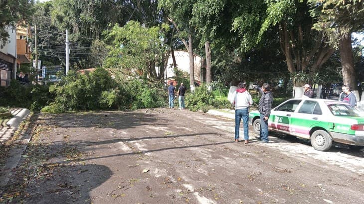 Protecci N Civil De Xalapa Emite Aviso Preventivo Por Fuerte Viento