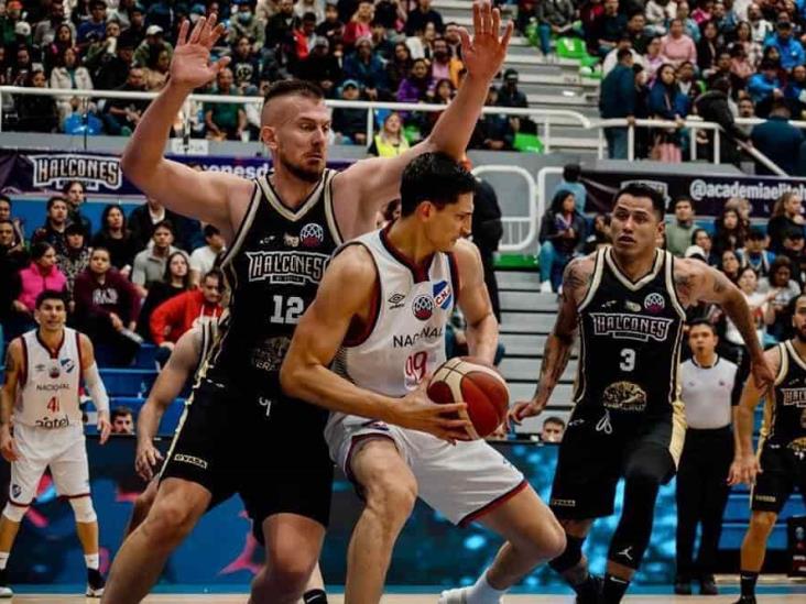 Halcones De Xalapa Al Final Four De La Bcl Am Rica