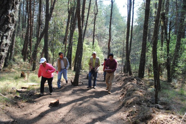 San Pedro del Monte es declarado área natural protegida