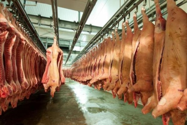 Carne de cerdo producida en Veracruz, rumbo a Japón