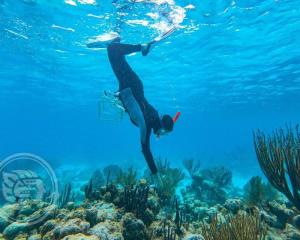 Detectan cinco nuevas zonas de arrecifes