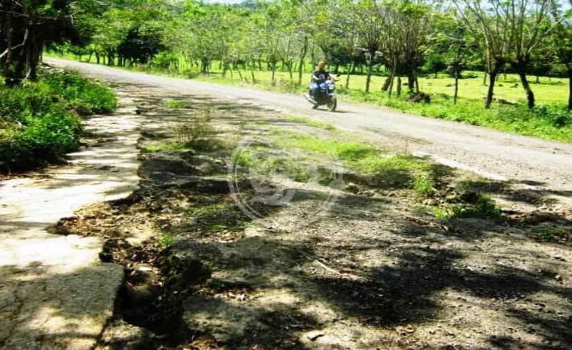 El presidente de Mecayapan tiene abandonado los caminos