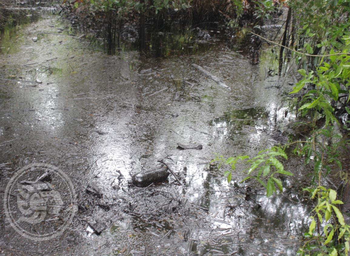 Fuga de aceite en el río Tonalá provoca probable ecocidio 