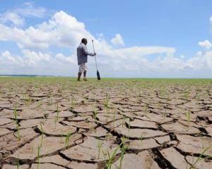 Poca agua: déficit de lluvias en Veracruz; es el segundo año más seco