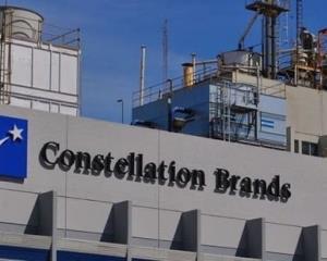 Hubo corrupción e influyentismo en permisos a Constellation Brands: AMLO