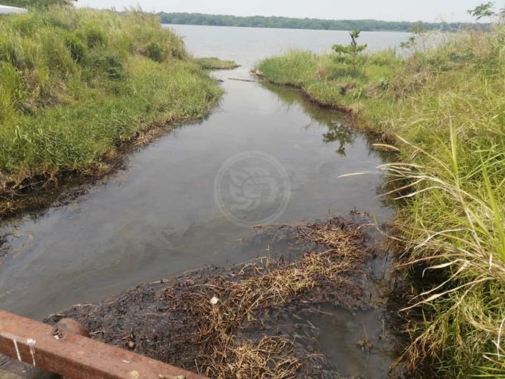 Contaminación del arroyo Gopalapa no ha sido saneada