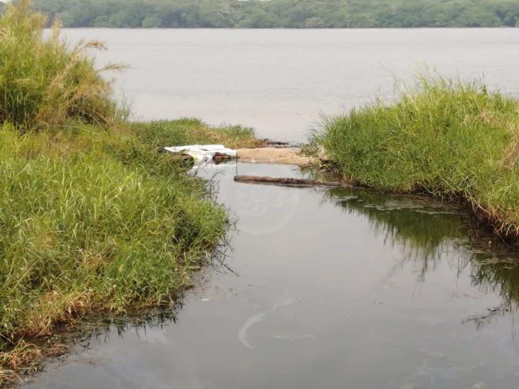 Contaminación del arroyo Gopalapa no ha sido saneada
