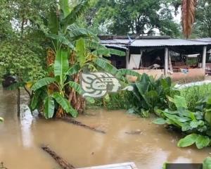 Se inundan vecinos de la colonia Tacoteno tras fuerte lluvia