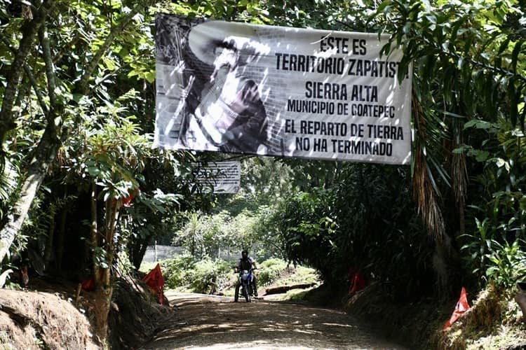 Juez para provisionalmente devastación de bosque en Veracruz; Sedatu aboga por CIOAC