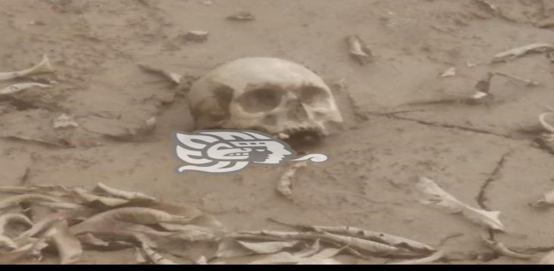 Encuentran cráneo humano en las orillas del Río Tesechoacán