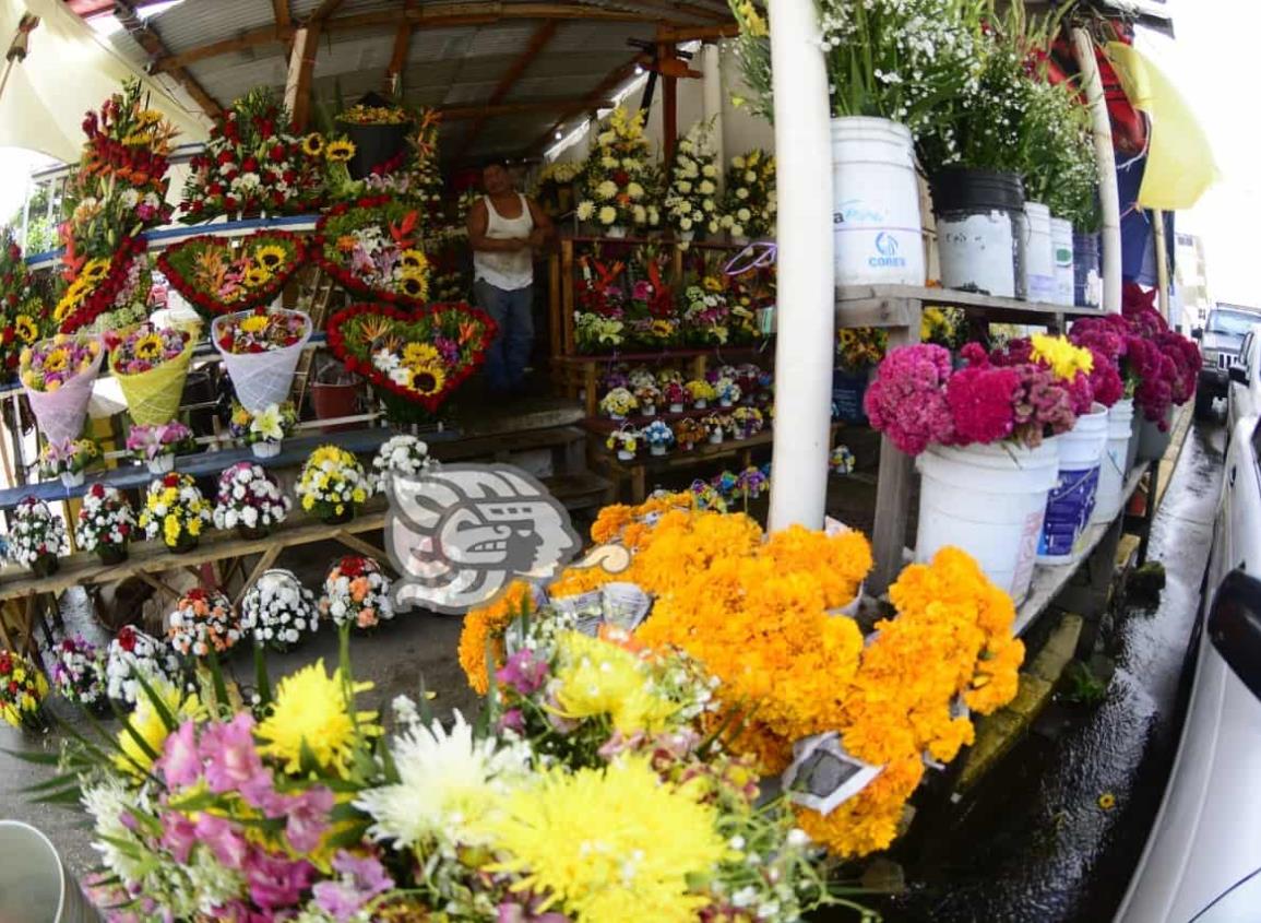 Coronavirus limitó venta de flores para altares; comercialización cayó en 80%