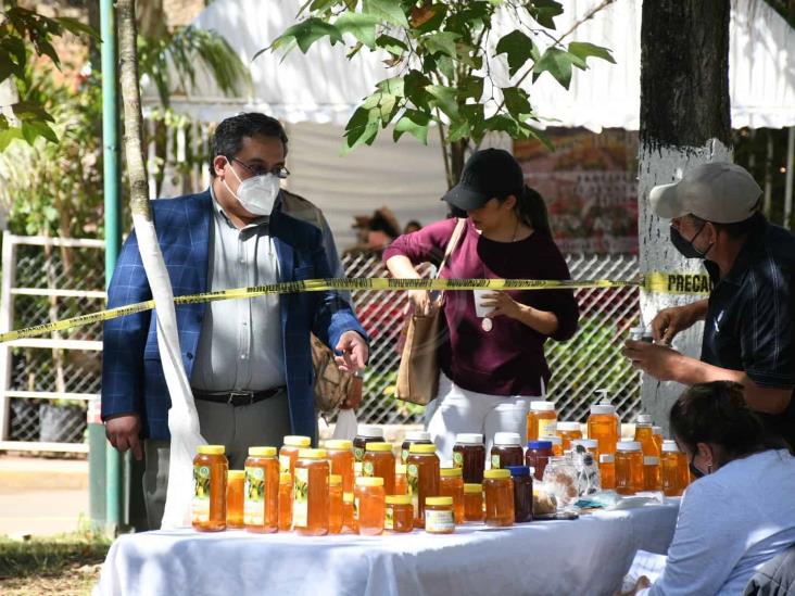 Busca Sedarpa combatir ‘coyotaje’; realizan venta de aguacate en Xalapa