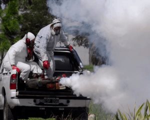 Veracruz, octavo lugar en casos de dengue con 1,411