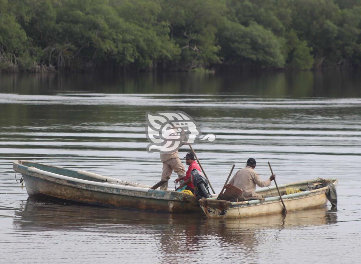 Se reactivó la actividad pesquera en el sur de Veracruz