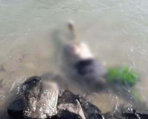 Hallan cuerpo de hombre en estado de descomposición a orillas del Río Tuxpan