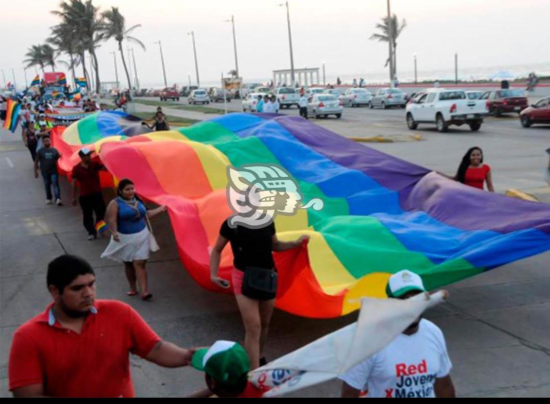 Comunidad LGBT lamenta omisiones del Congreso de Veracruz