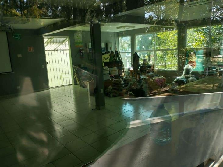 Mendoza: arbitrariamente, ayuntamiento desalojó a pintor de su estudio