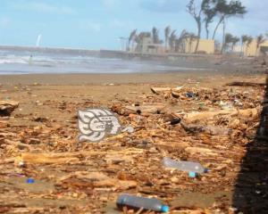 Invitan a ciudadanía para limpiar playa porteña
