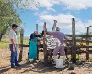 Impulsa Cuitláhuac Condado desarrollo de ganadería acayuqueña