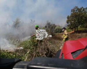 Provocan incendio de pastizal en La Malinche de Acayucan