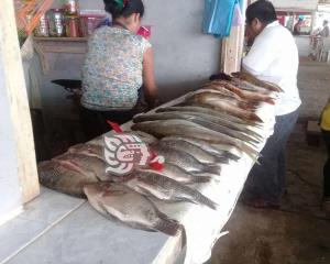 Alto precio de pescados y mariscos durante cuaresma en Moloacán
