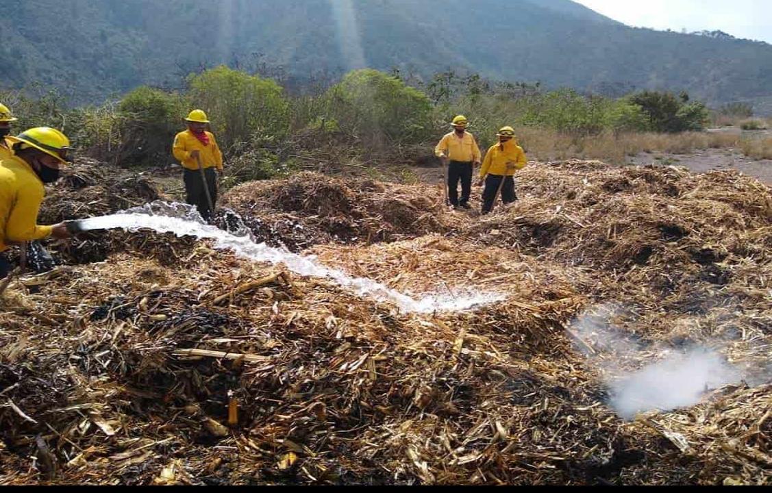 Registran 6 incendios forestales en zona centro de Veracruz