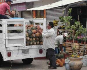 Apoyan con verduras y frutas gratis en Coatzacoalcos