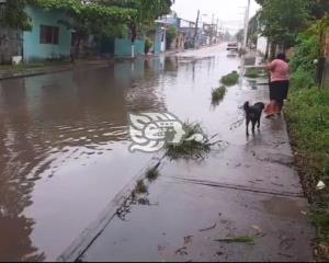 Sufren en El Playón Sur de Minatitlán, permanente inundación