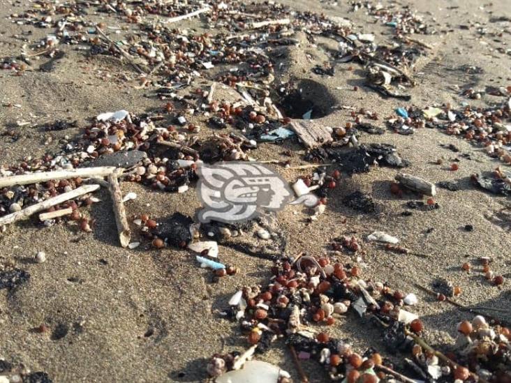 Encuentran pequeños restos de chapopote en la playa de Coatzacoalcos