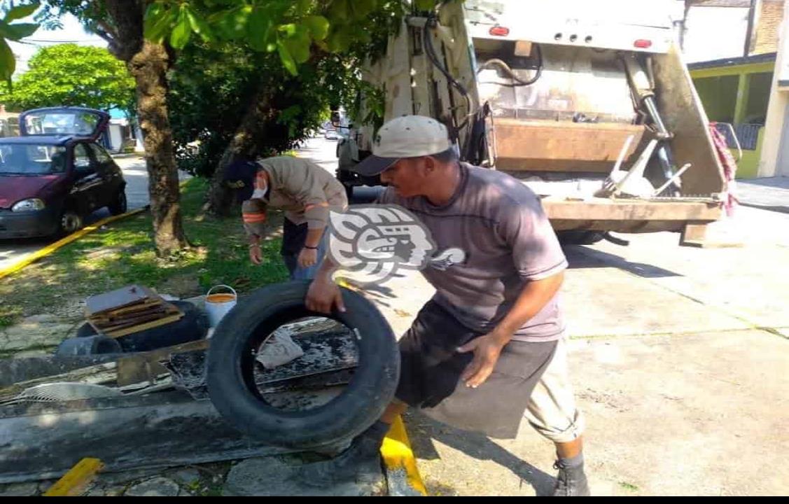 Detectan casos de dengue durante descacharrización en Coatzacoalcos