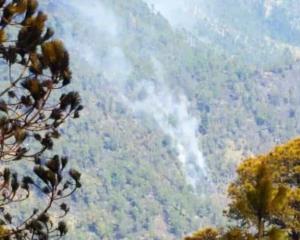 Reportan incendio en terreno agrícola de La Perla