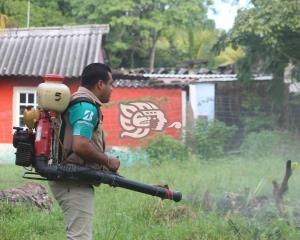 Suma Veracruz 89 casos de dengue en 2021; segundo lugar nacional
