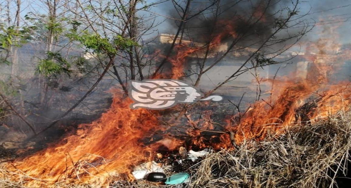 Incendio en terreno baldío alarma en la Petrolera de Coatzacoalcos