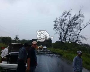 Viento derribó pino y cableado en la carretera Nanchital-Las Choapas 