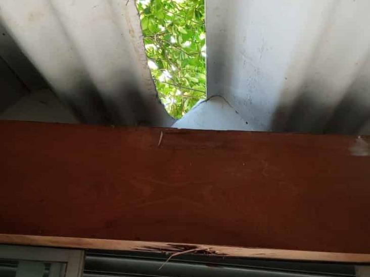 En Medellín de Bravo, roban negocio tras entrar por techo del lámina