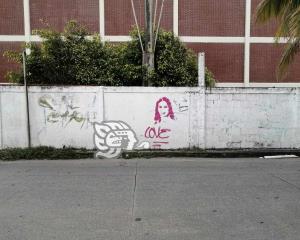 Reporta Tania Cruz, falsa publicidad pintada por la ciudad