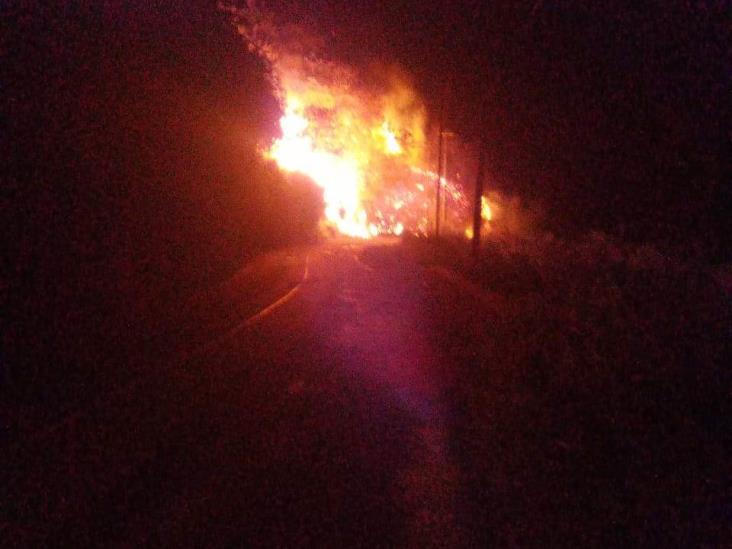 Incendio en Los Reyes deja cerca de una hectárea afectada