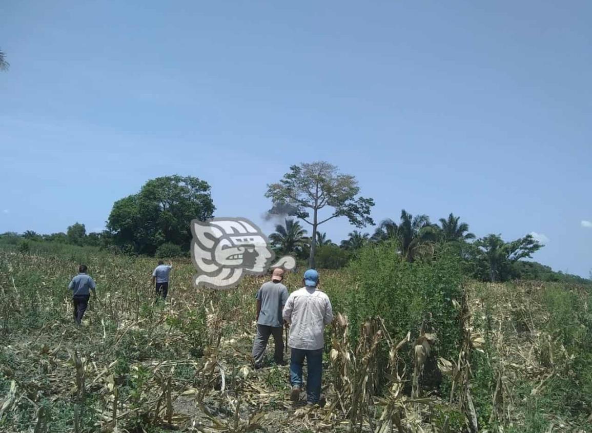 Allanan rancho en Texistepec y roban 20 hectáreas de maíz