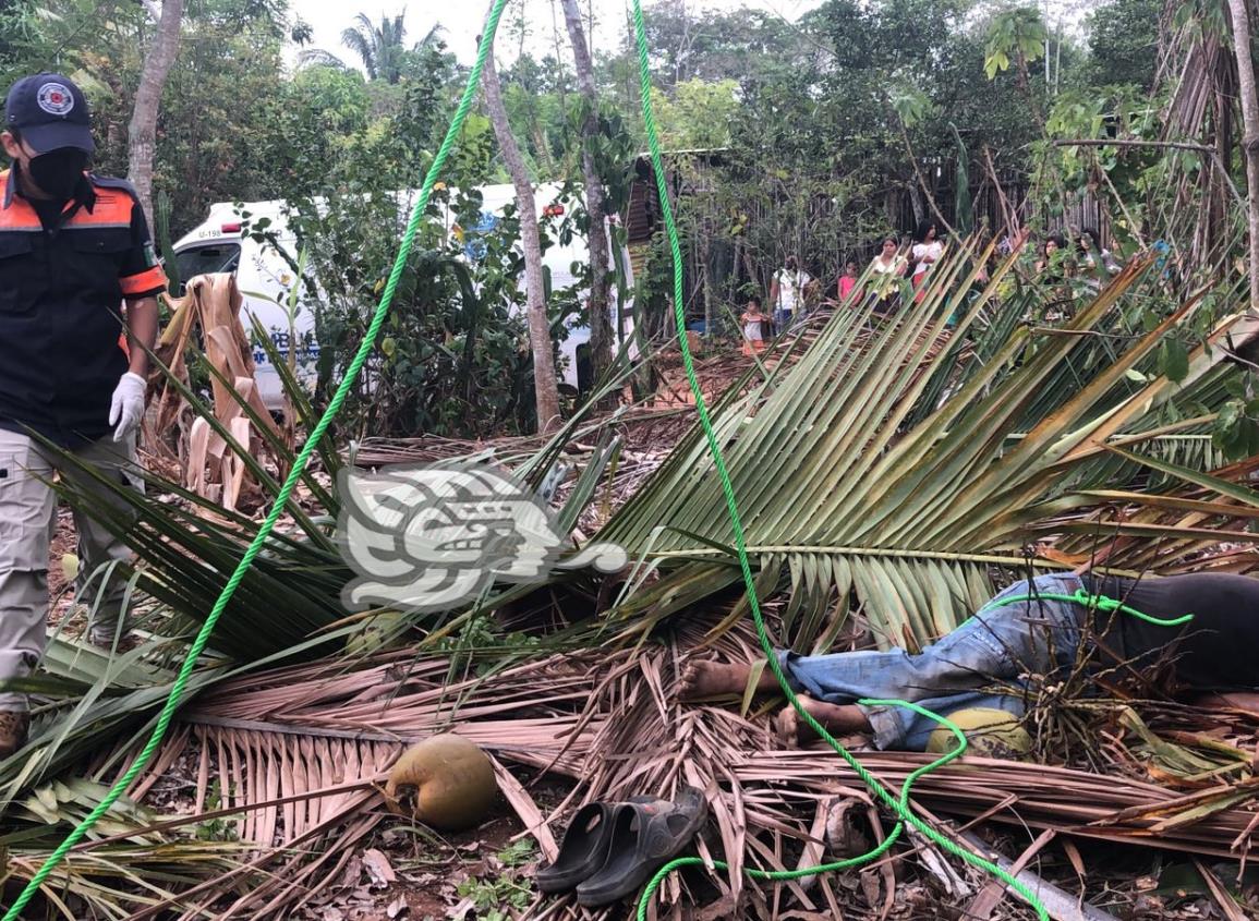 En Acayucan, muere al caer de una palma de cocos