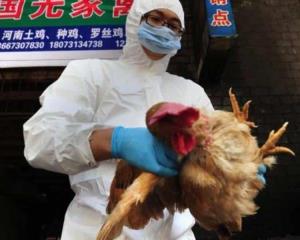 China confirma primer contagio humano de gripe aviar H10N3