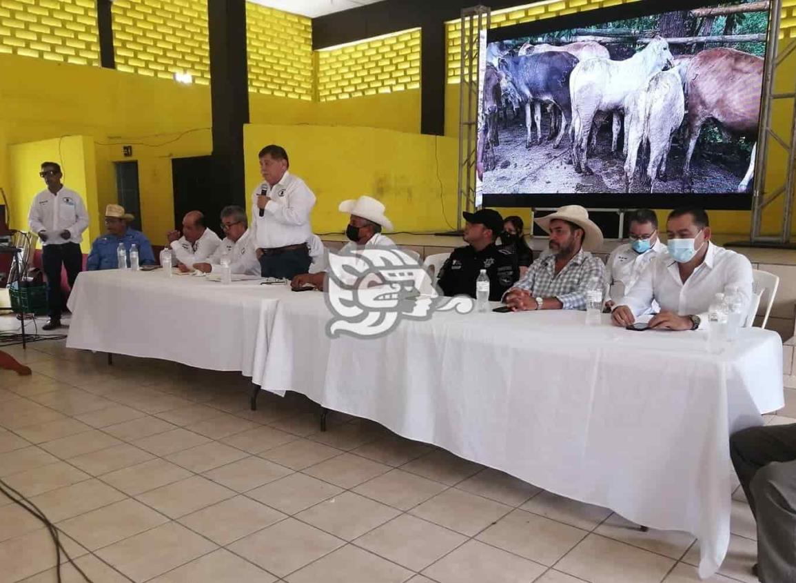 Socios ganaderos de Las Choapas buscan apoyos federales