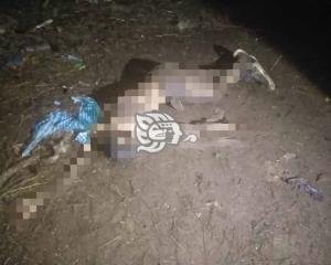 Encuentran cadáver de hombre en cañal de Coatepec