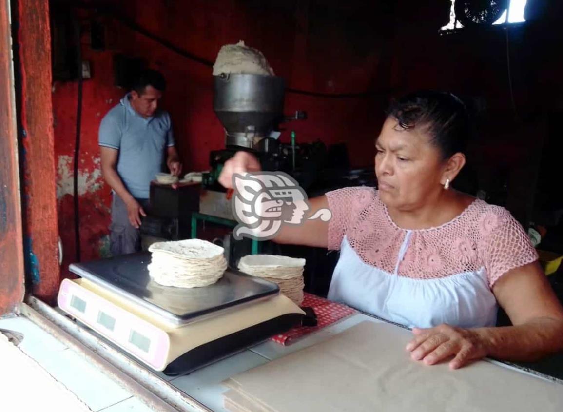 Mantendrán el kilo de tortilla a 18 pesos en Cosoleacaque