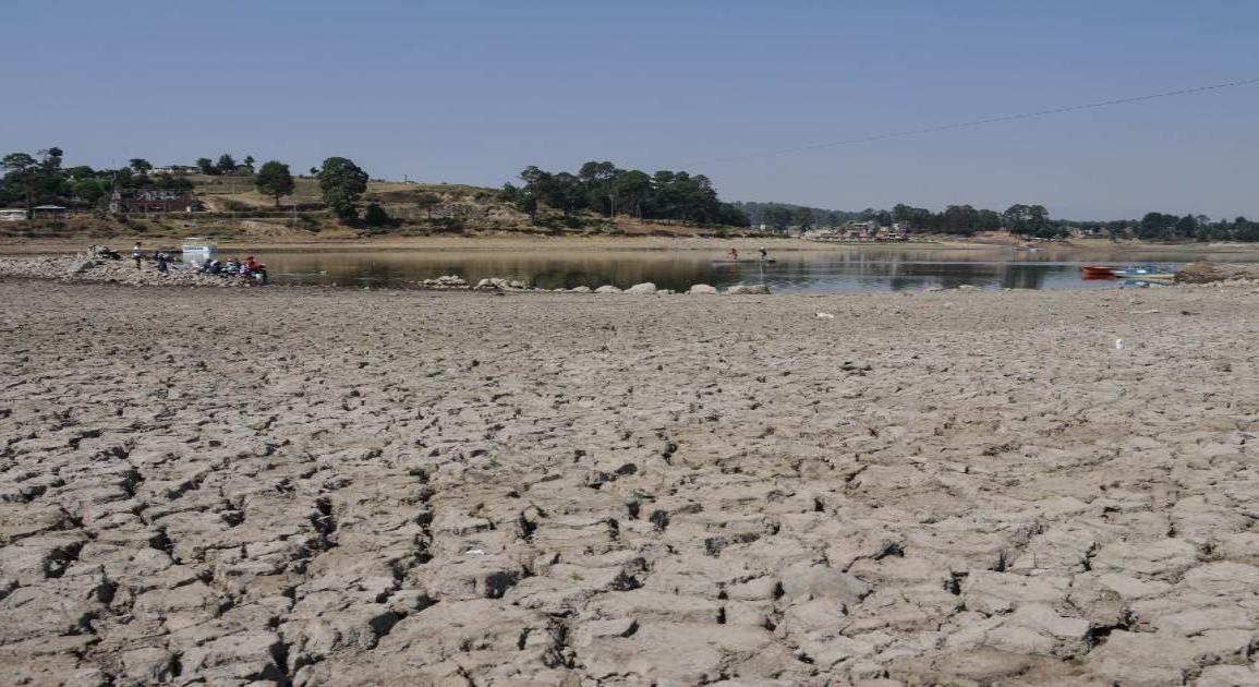 Se espera que lluvias de junio aminoren sequía de este 2022 en Veracruz